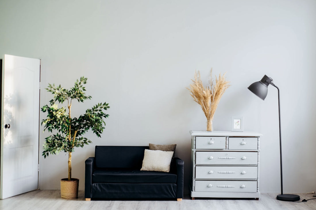 A cozy indoor plant corner in winter light, showing seasonal conditions that influence kokedama care routines